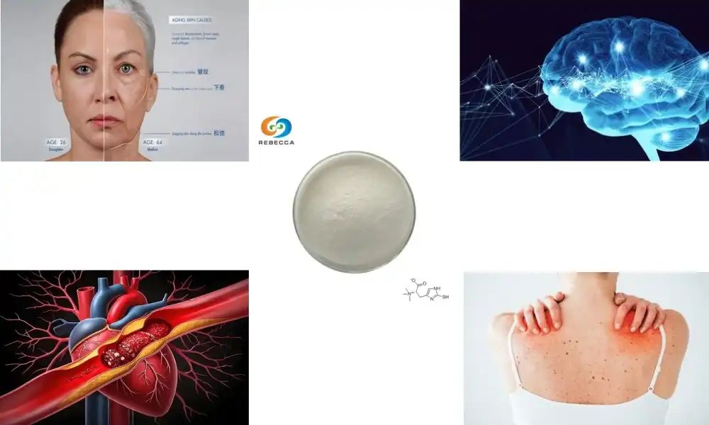 L‑Ergothioneine Powder Benefits: Cellular Protection & More